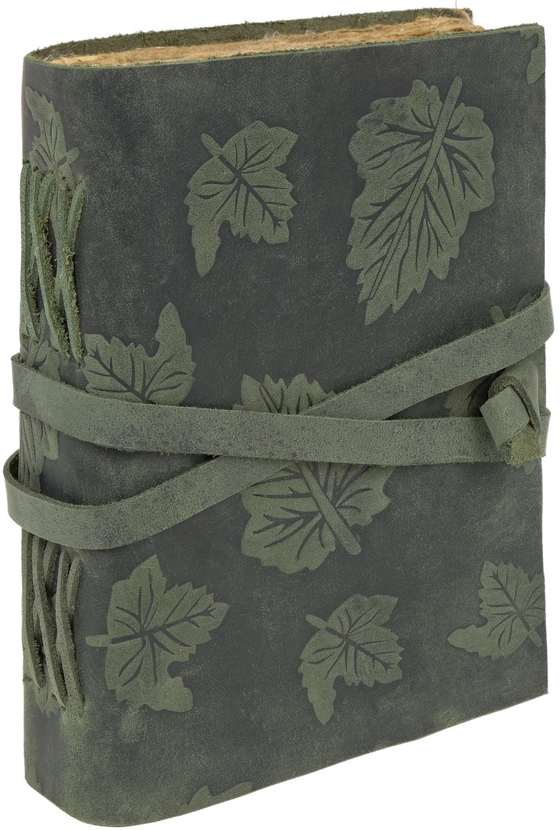 SnelShoppen - Reisdagboek van groen leer met stalen bladdecoratie, elegant vintage notitieboek 21 x 16 cm, notitieboek voor notities, schrijven, reize