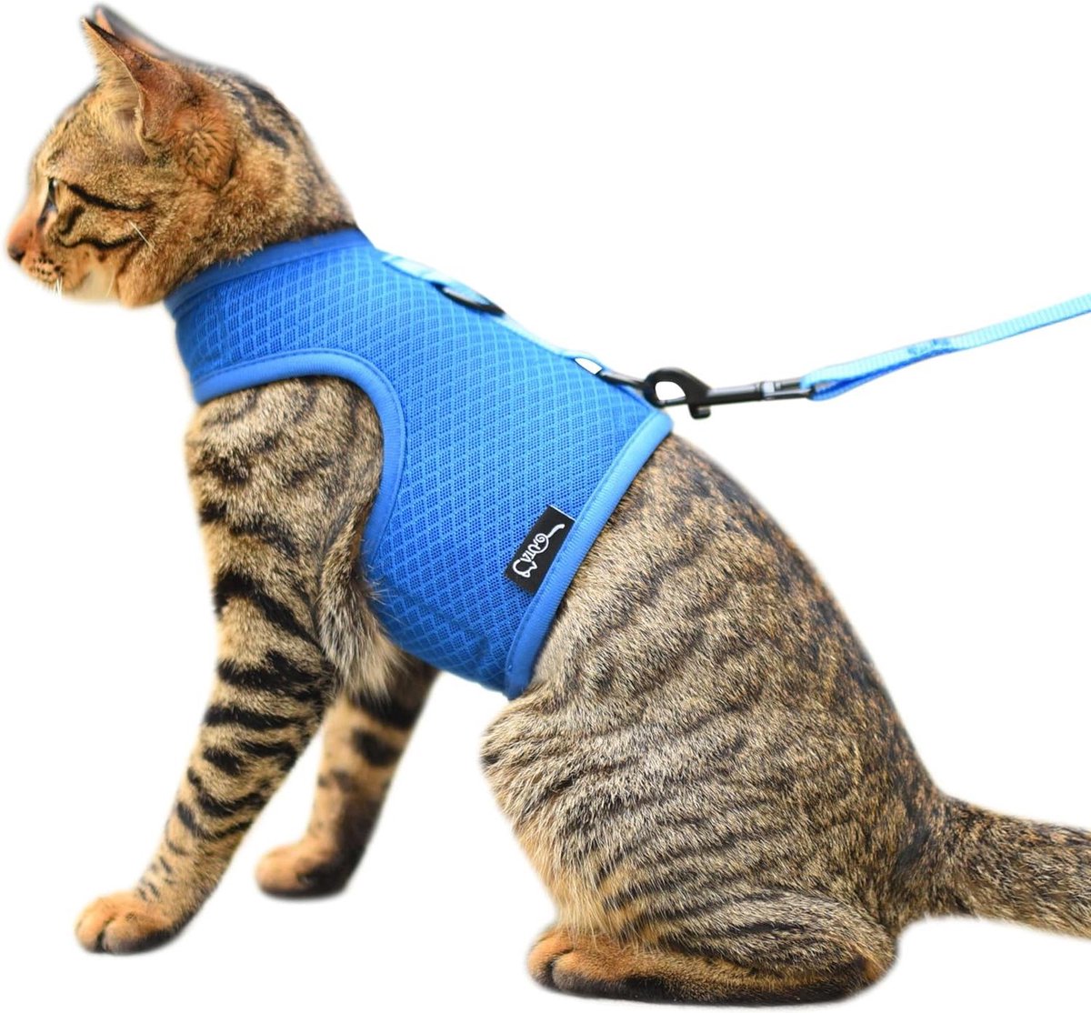 Kattenharnas en riem - Veilig tuigje - Buiten wandelen - Ontsnappingsbestendig ontwerp - Maat S - Blauw gaas
