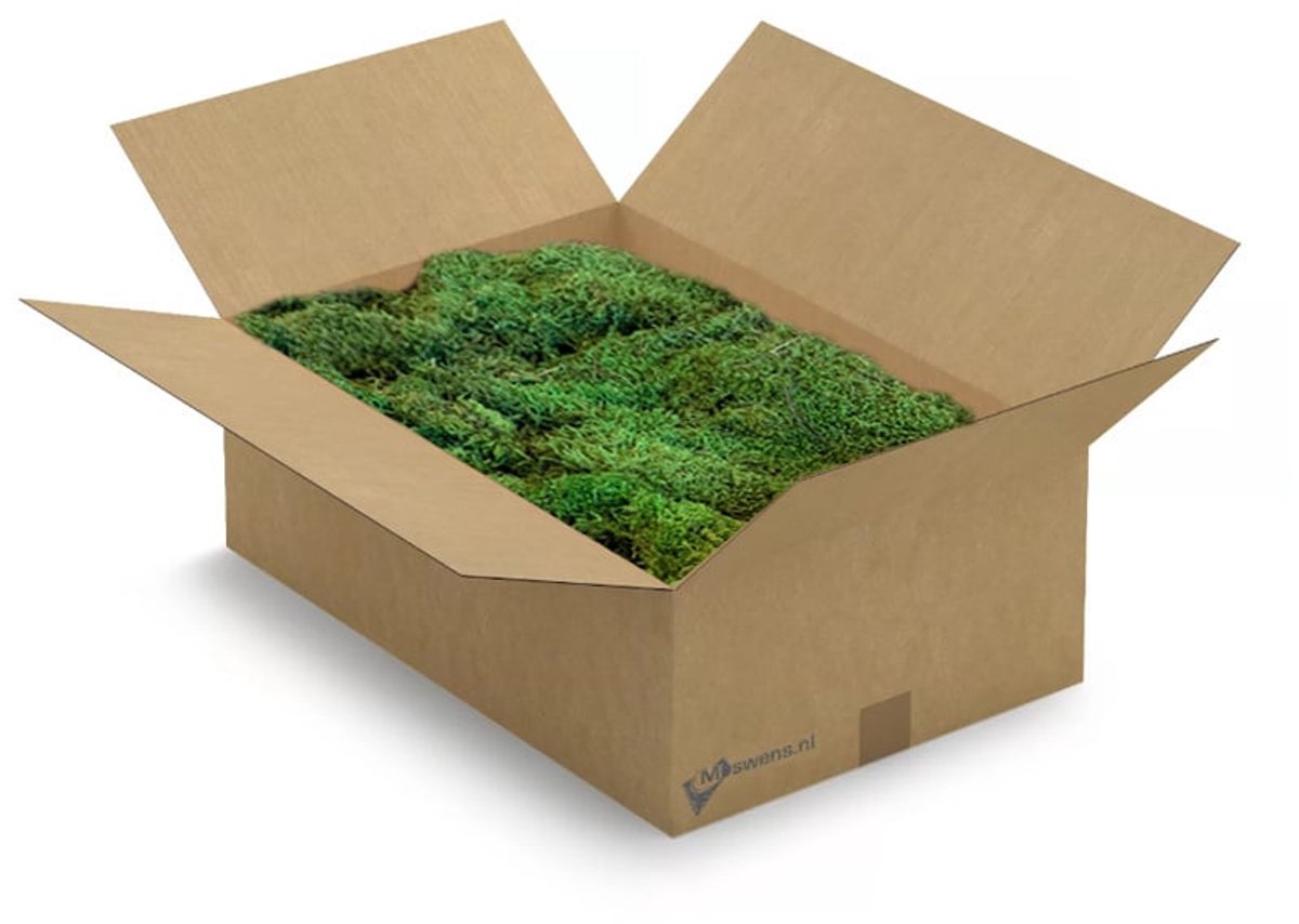 Moswens Platmos - 3 KG - Doos XL - licht 0,90 m²