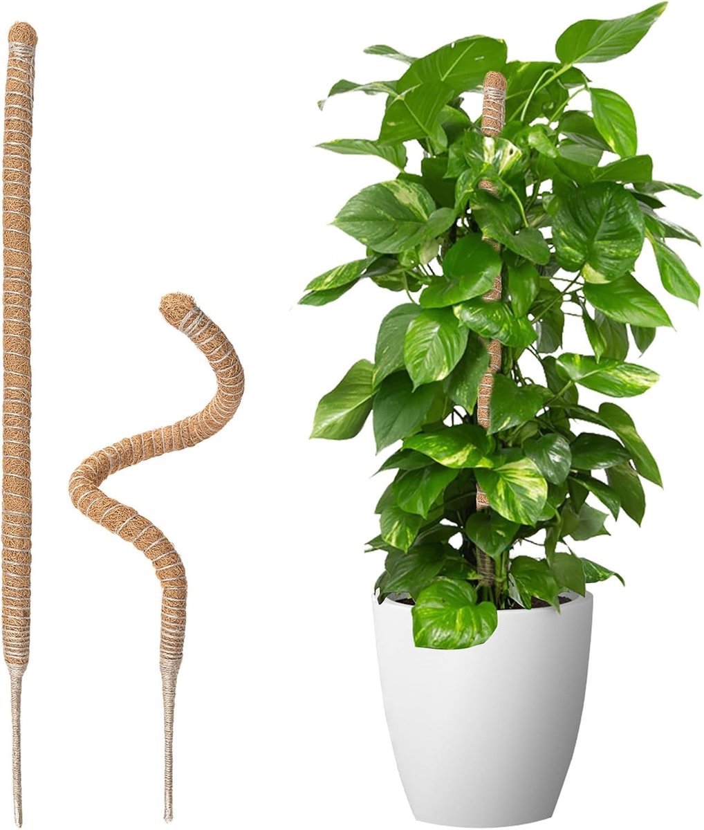 2-delige mospaal voor Monstera, kokosvezel, klimsteun, plantstick, ondersteuning voor klimplanten, 70 cm, ideaal voor binnenplanten en tuinieren