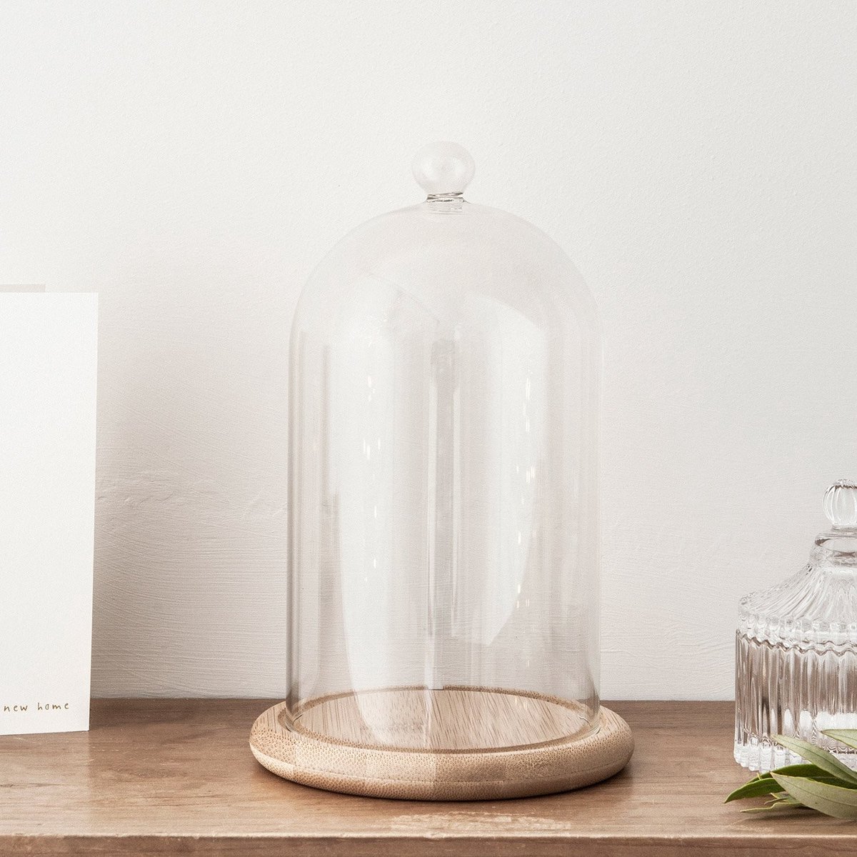 Solidchoice - Glazen Cloche met Houten Basis voor Decoratie 20,5 cm