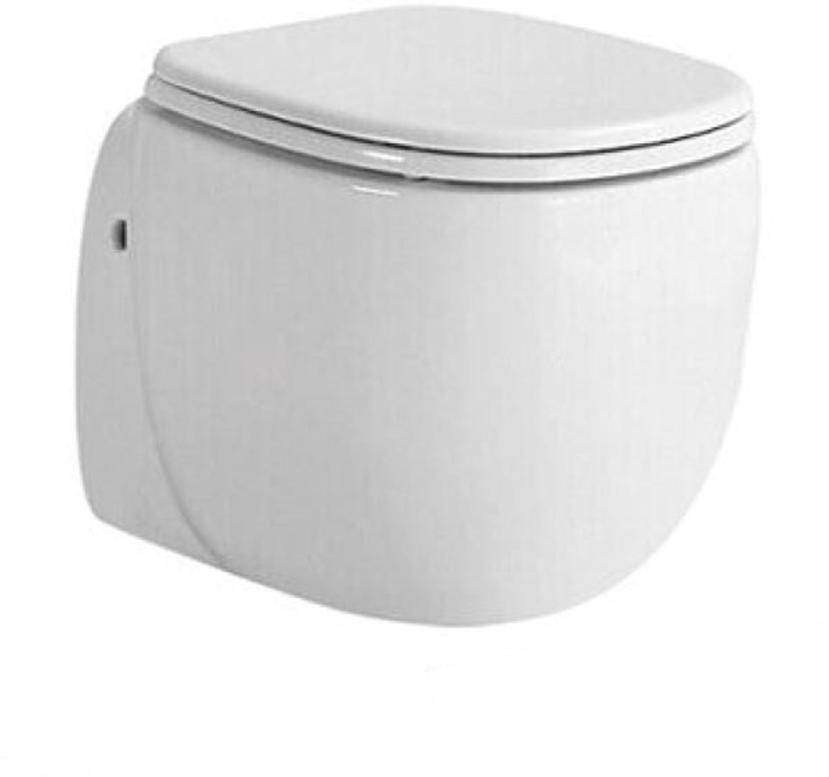Wandcloset Sanitado Elements Quality met softclose toiletzitting in glanzend wit