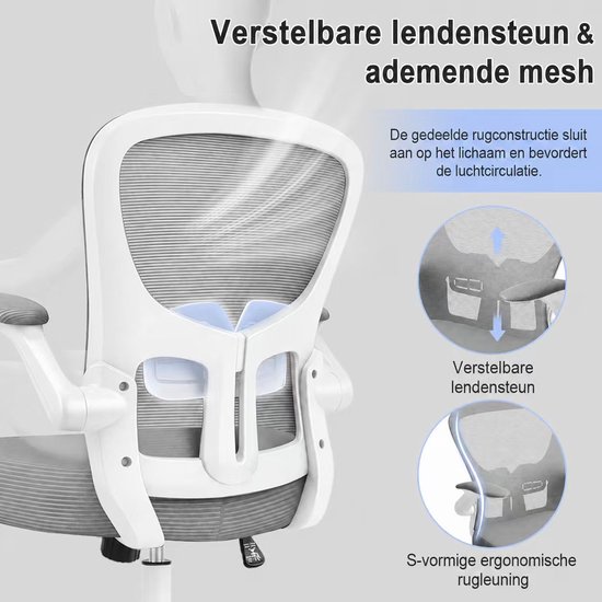 Grijze bureaustoel met verstelbare lendensteun en ademende mesh rugleuning. De rugleuning heeft een S-vormige ergonomische curve.