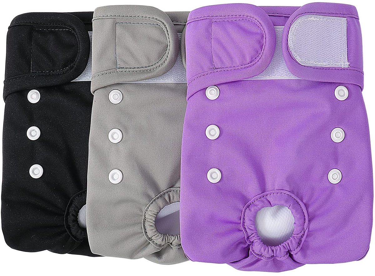 Solidchoice - Set van 3 Absorberende Hondenluiers voor Training en Comfort