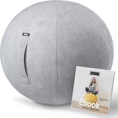 Fruscle® 65 cm Zitbal - Ergonomische bureaustoel - Thuiskantoor zitzak - Rugpijn - met Ebook