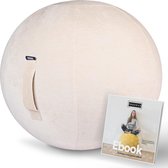Fruscle® 65 cm Zitbal - Ergonomische bureaustoel - Thuiskantoor zitzak - Rugpijn - met Ebook
