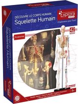 MGM - Explora - Skeletale anatomie - Anatomie-experiment