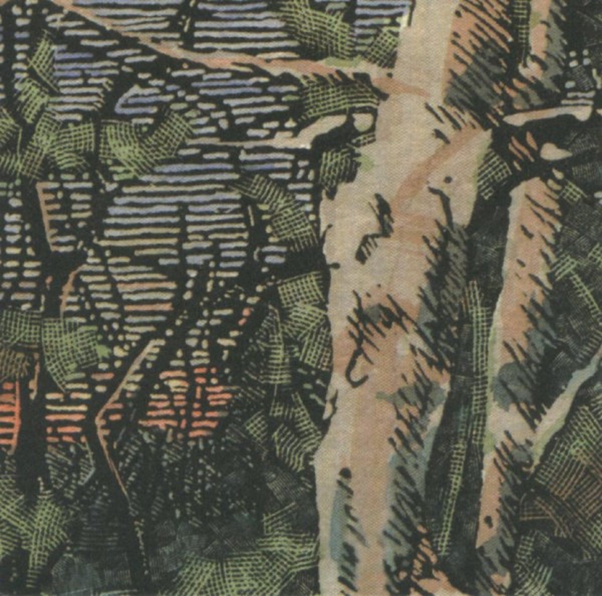 The Anomoanon - Asleep Many Years In The Wood (CD)