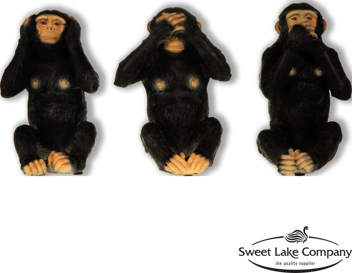 Horen, zien en zwijgen Aap set 10 cm. | bol.com