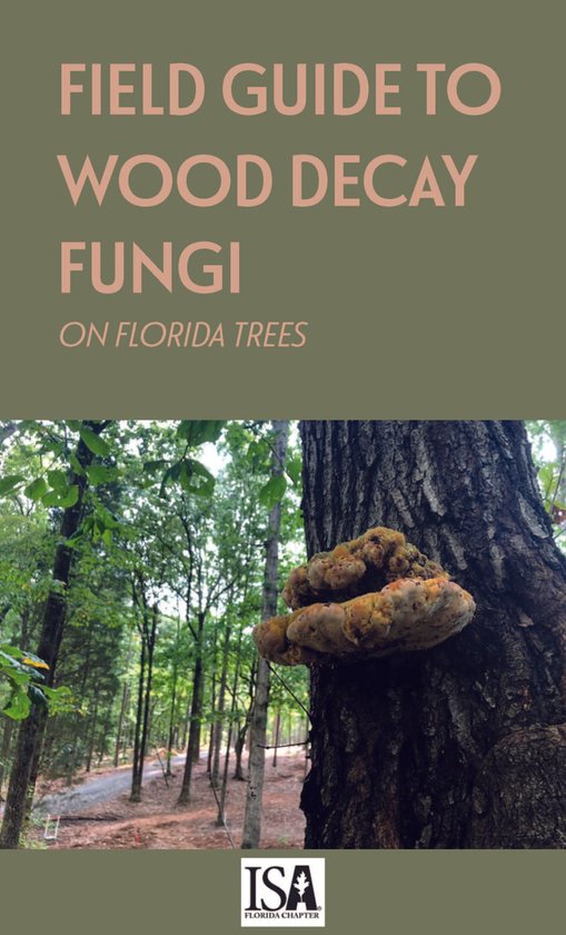 Field Guide to Wood Decay Fungi on Florida Trees (ebook), Jason Smith