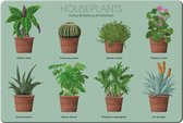 Bekking & Blitz - Placemat - Kunst - Uniek design - Kamerplanten - Houseplants - Kelly van Koppenhagen - Hortus Botanicus Amsterdam