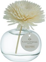 Plantes & Parfums Oriental Wood Bloem Geurstokje - Interieurparfum - Kruidige Geur - 100ml