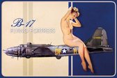 B-17 Flying Fortress 124485 nude​​.   Metalen Wandbord 20 x 30 cm.