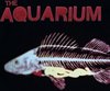 Aquarium - Aquarium (CD)