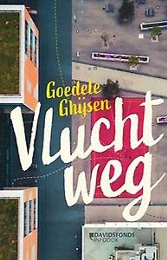 Boekomslag 'Vluchtweg' met de titel in grote witte letters, op een vogelvluchtbeeld van een stad.