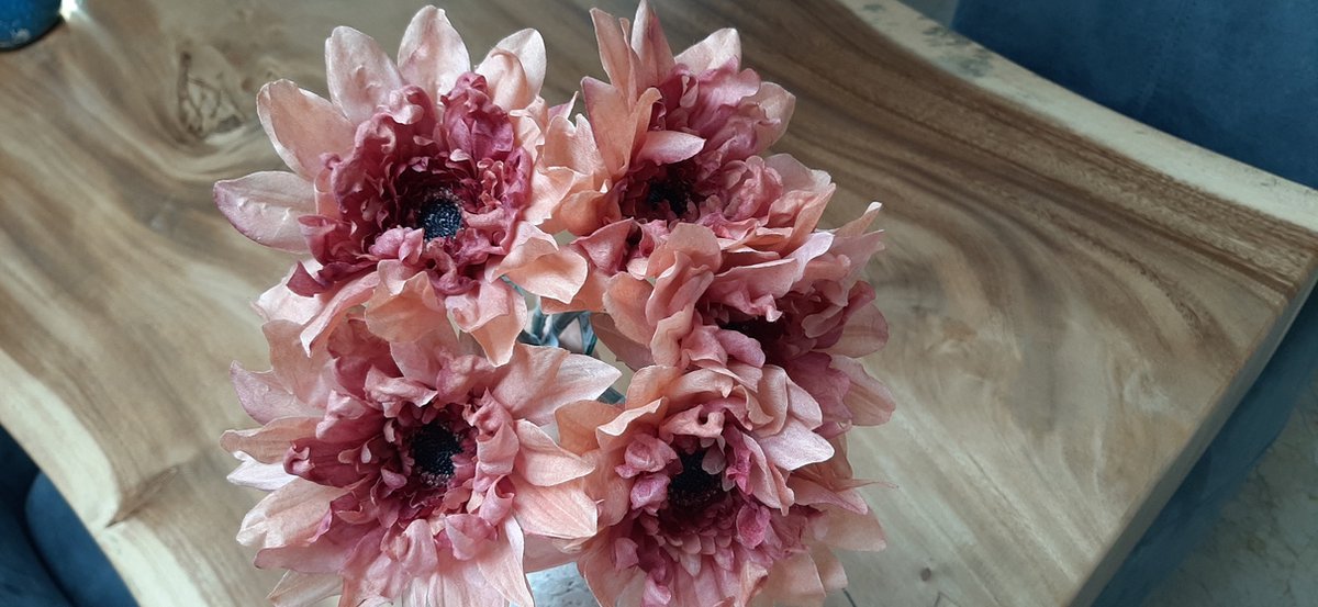 Zijden bloemen Gerbera oud roze