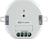 Draadloze ontvanger - 1000W - Type 24131