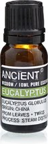 Etherische olie Eucalyptus - 10ml - Essentiële Oliën Aromatherapie - Essentiële Eucalyptus Olie