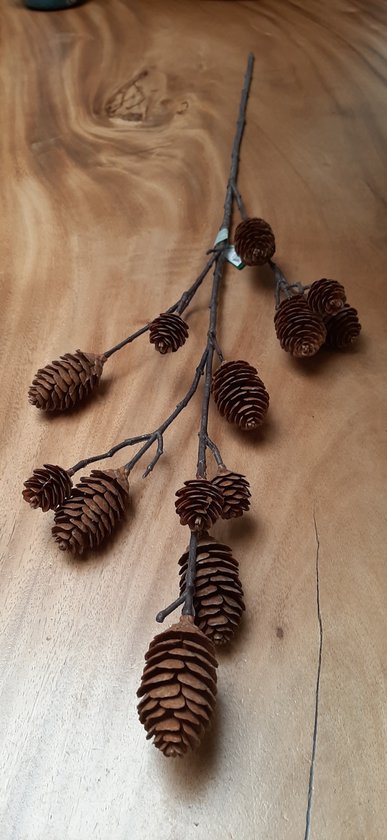 Branche de Noël Branche pomme de pin (Pinus) 12 pommes 98cm