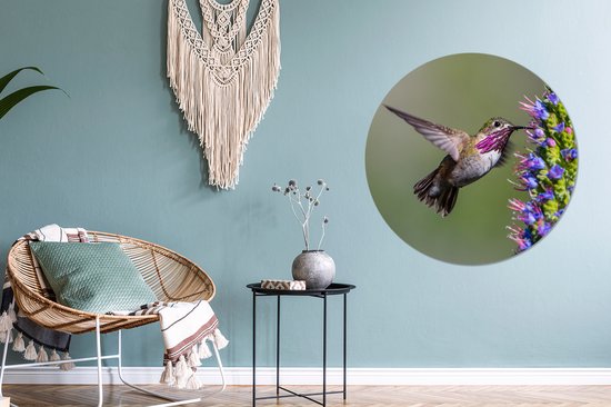 WallCircle - Wandcirkel - Muurcirkel - Kolibrie - Plant - Paars - Aluminium - Dibond - ⌀ 90 cm - Binnen en Buiten