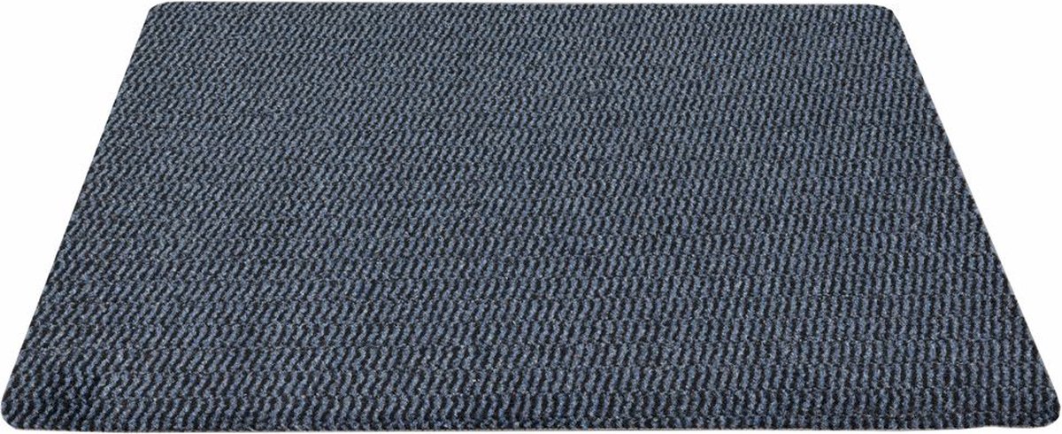 Droogloopmat Dusco 55 x 75 cm Blauw