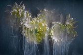 Smoking flowers VI – 90cm x 60cm - Fotokunst op PlexiglasⓇ incl. certificaat & garantie.