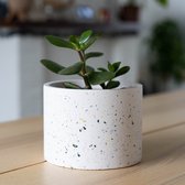 Design Terrazzo Bloempot - Grote Planten Pot - Keramische Pot - Joske’s Pottery - Handgemaakt in Nederland