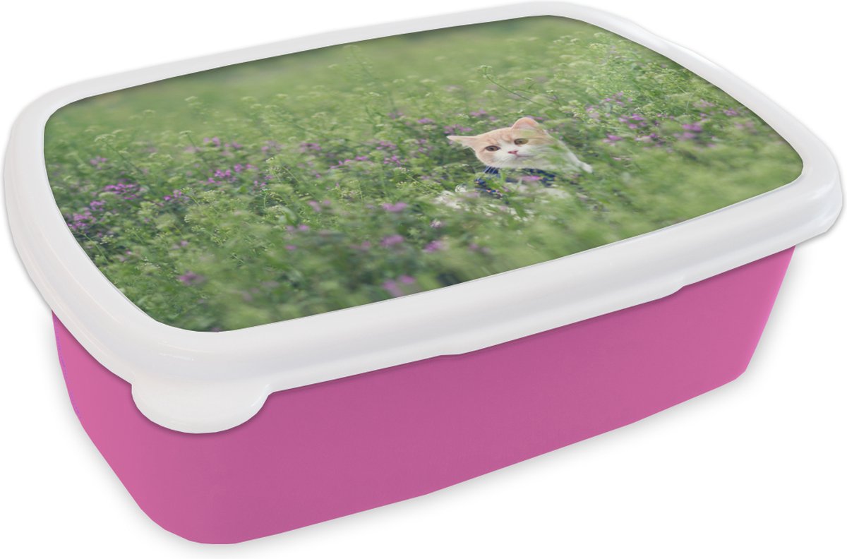Broodtrommel Roze - Lunchbox - Brooddoos - Kat - Bloemen - Lente - 18x12x6 cm - Kinderen - Meisje