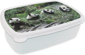Broodtrommel Wit - Lunchbox - Brooddoos - Panda - Natuur - Bamboe - 18x12x6 cm - Volwassenen