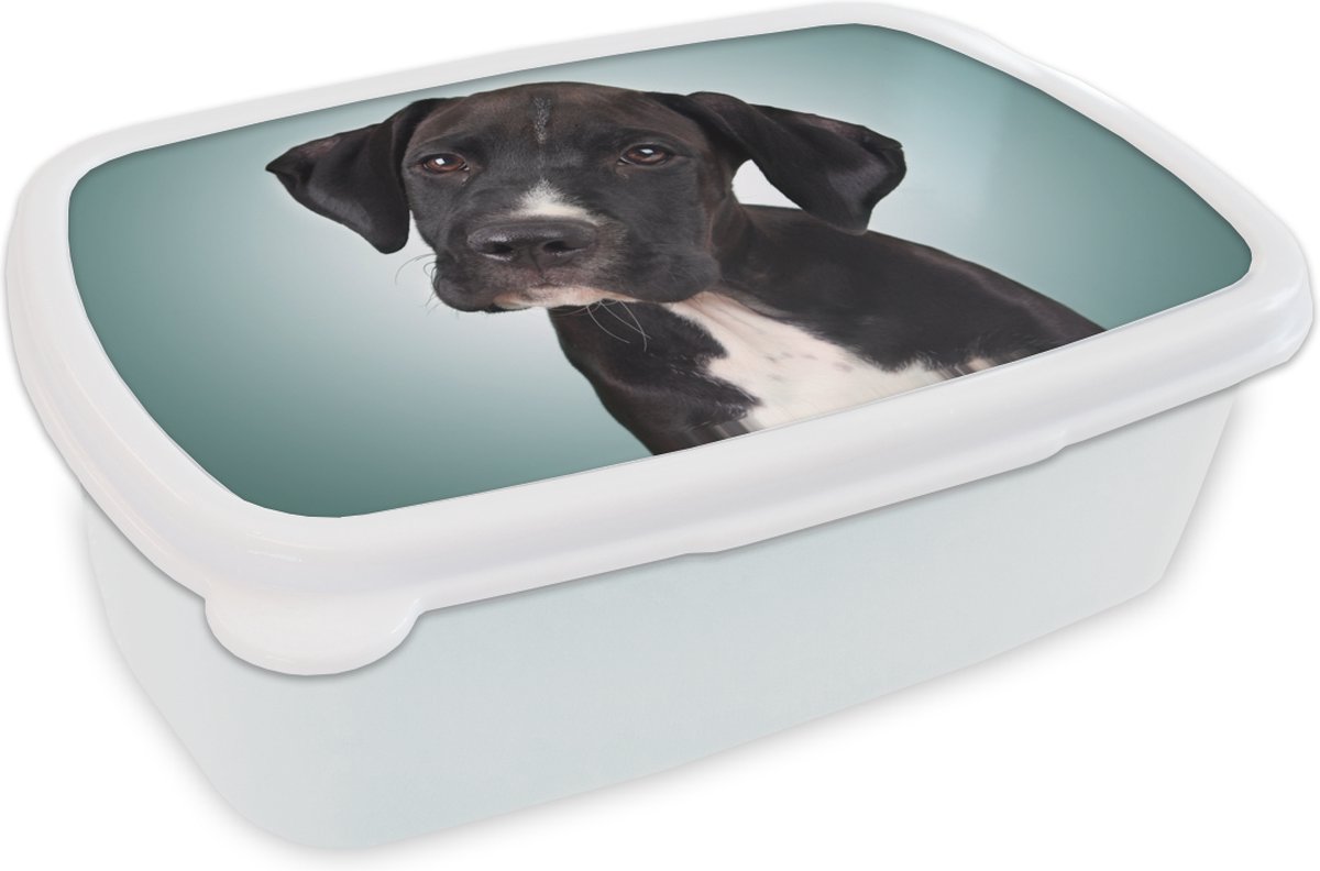 Broodtrommel Wit - Lunchbox - Brooddoos - Lieve zwart-witte hond - 18x12x6 cm - Volwassenen