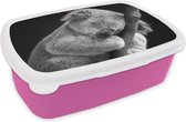Broodtrommel Roze - Lunchbox - Brooddoos - Koala - Tak - Zwart - Kids- Jongens - Meisjes - 18x12x6 cm - Kinderen - Meisje
