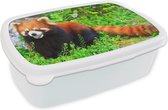 Broodtrommel Wit - Lunchbox - Brooddoos - Rode Panda - Groen - Gras - 18x12x6 cm - Volwassenen