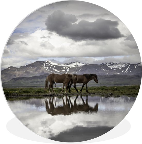 WallCircle - Wandcirkel ⌀ 60 - Paarden - IJsland - Natuur - Ronde schilderijen woonkamer - Wandbord rond - Muurdecoratie cirkel - Kamer decoratie binnen - Wanddecoratie muurcirkel - Woonaccessoires
