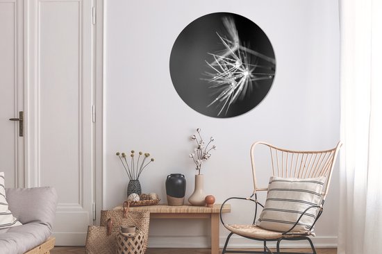 Wall Circle - Indoor Wall Circle - Graines de pissenlit recouvertes de rosée précoce - noir et blanc - ⌀ 90 cm - Décoration murale - Peintures ronds