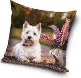 Hond met Planten in een Gieter Sierkussens - Kussen - 40 x 40 inclusief vulling - Kussen van Polyester - KledingDroom®