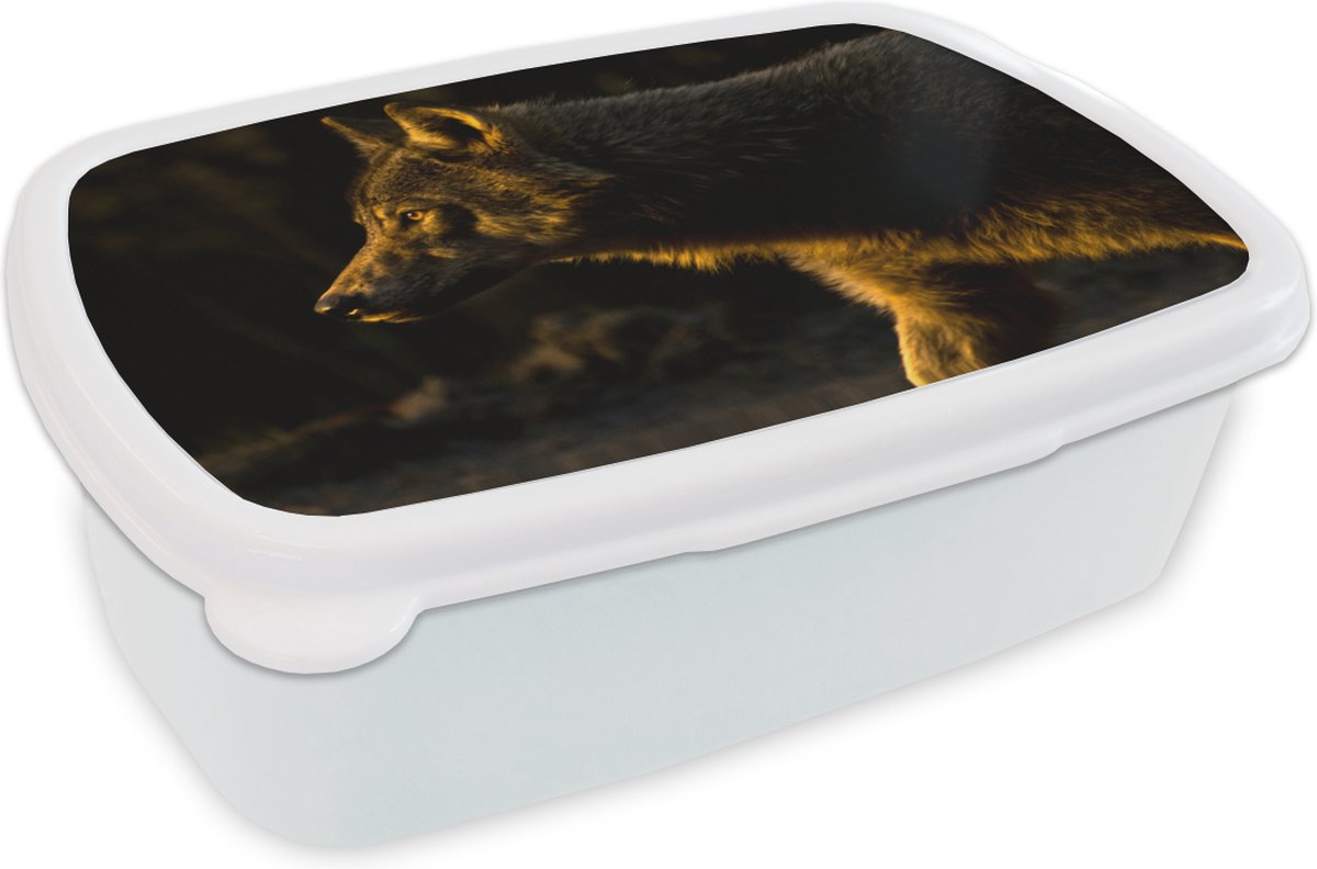 Broodtrommel Wit - Lunchbox - Brooddoos - Wolf - Roofdier - Zon - 18x12x6 cm - Volwassenen