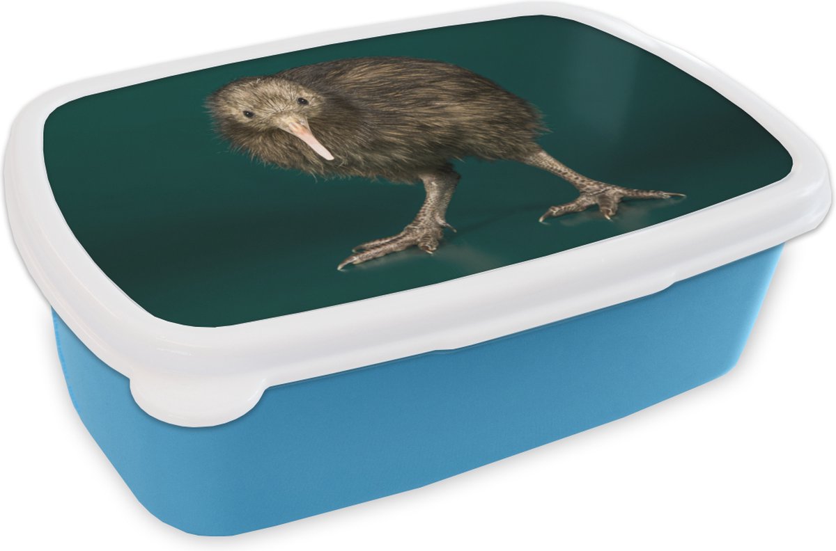 Broodtrommel Blauw - Lunchbox - Brooddoos - Kiwi - Vogel - Groen - 18x12x6 cm - Kinderen - Jongen