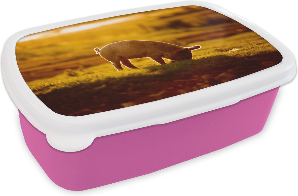 Broodtrommel Roze - Lunchbox - Brooddoos - Varken - Gras - Licht - 18x12x6 cm - Kinderen - Meisje