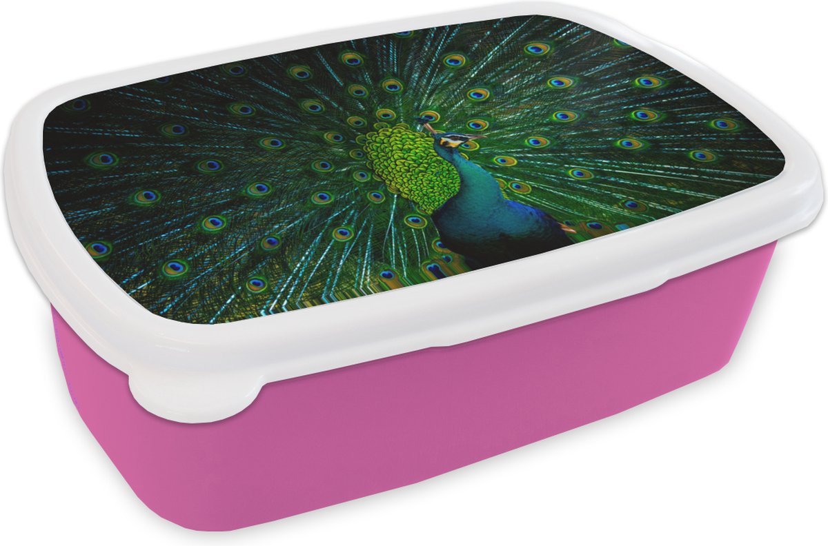 Broodtrommel Roze - Lunchbox - Brooddoos - Pauw - Dansen - Kleur - 18x12x6 cm - Kinderen - Meisje