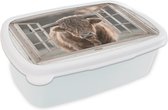 Broodtrommel Wit - Lunchbox - Brooddoos - Schotse hooglander - Dier - Doorkijk - 18x12x6 cm - Volwassenen