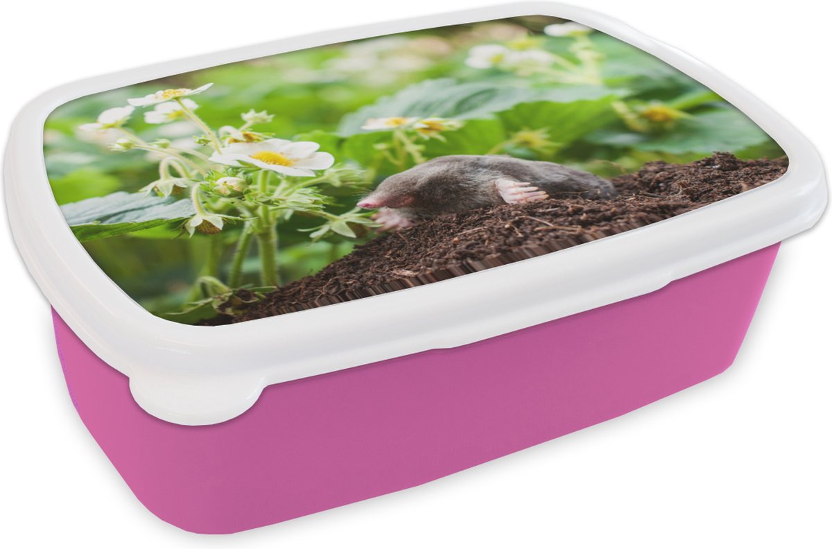 Broodtrommel Roze - Lunchbox - Brooddoos - Dier - Tuin - Mol - 18x12x6 cm - Kinderen - Meisje