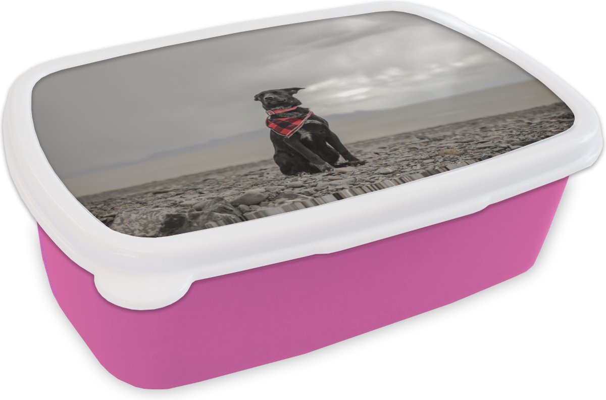 Broodtrommel Roze - Lunchbox - Brooddoos - Hond - Strand - Wolk - 18x12x6 cm - Kinderen - Meisje