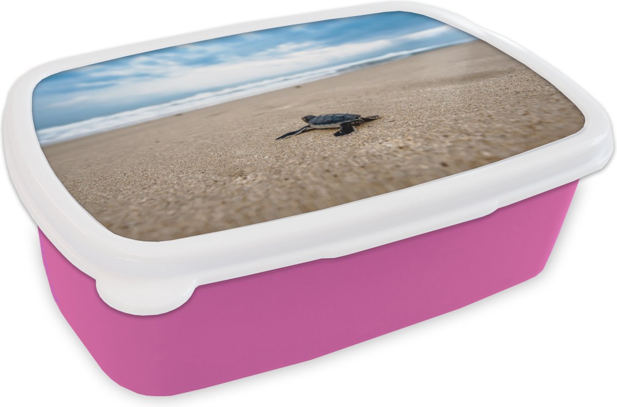 Broodtrommel Roze - Lunchbox - Brooddoos - Strand - Zee - Schildpad - 18x12x6 cm - Kinderen - Meisje
