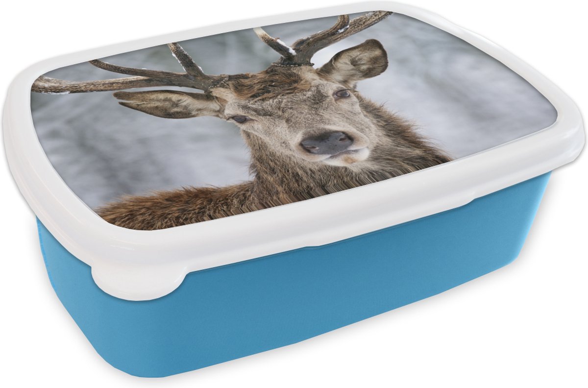 Broodtrommel Blauw - Lunchbox - Brooddoos - Hert - Gewei - Sneeuw - 18x12x6 cm - Kinderen - Jongen