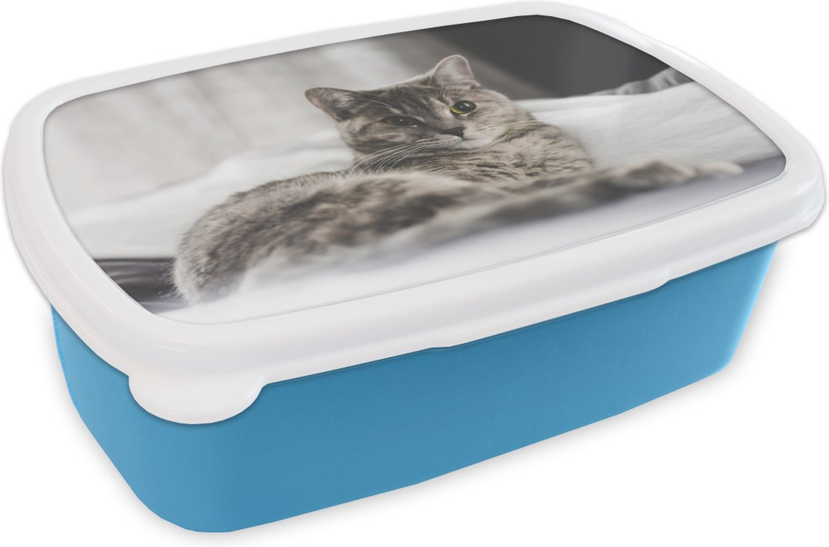 Broodtrommel Blauw - Lunchbox - Brooddoos - Kat - Lakens - Bed - 18x12x6 cm - Kinderen - Jongen