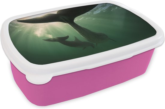 Lunch box Rose - Lunch box - Boîte à pain - Dauphin - Water - Blauw - 18x12x6 cm - Enfants - Fille