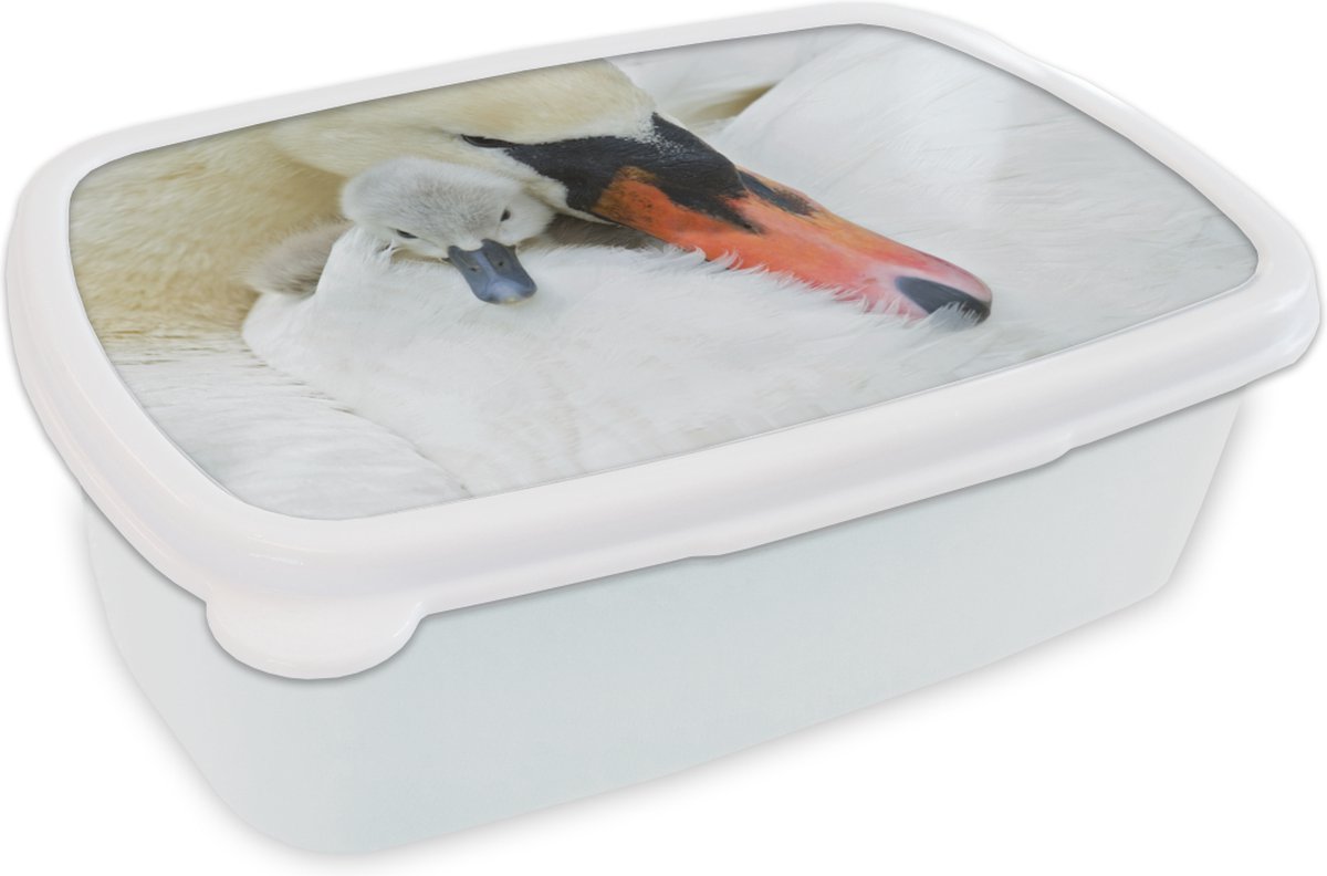 Broodtrommel Wit - Lunchbox - Brooddoos - Zwaan - Kuiken - Macro - 18x12x6 cm - Volwassenen