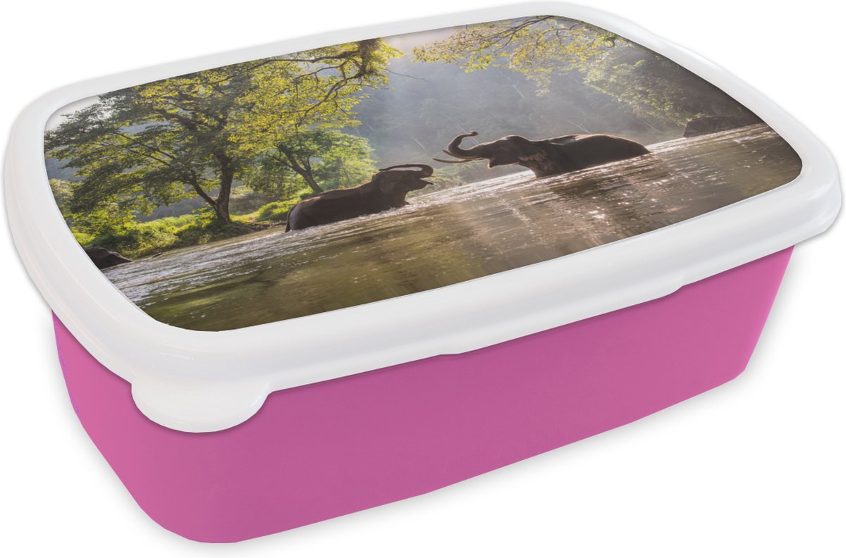 Broodtrommel Roze - Lunchbox - Brooddoos - Spelende olifanten - 18x12x6 cm - Kinderen - Meisje