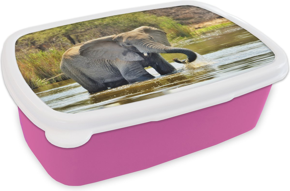 Broodtrommel Roze - Lunchbox - Brooddoos - Badderende olifant - 18x12x6 cm - Kinderen - Meisje