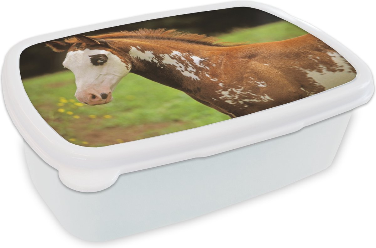 Broodtrommel Wit - Lunchbox - Brooddoos - Paard - Wit - Bruin - 18x12x6 cm - Volwassenen